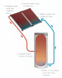 Loline Water System